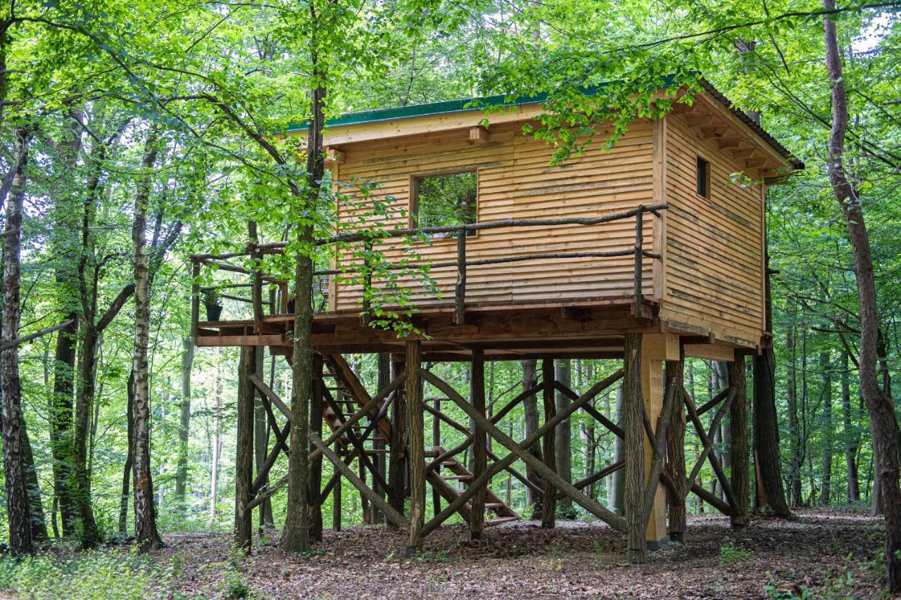Living Forest Resort モラフスケ・トプリツェ エクステリア 写真