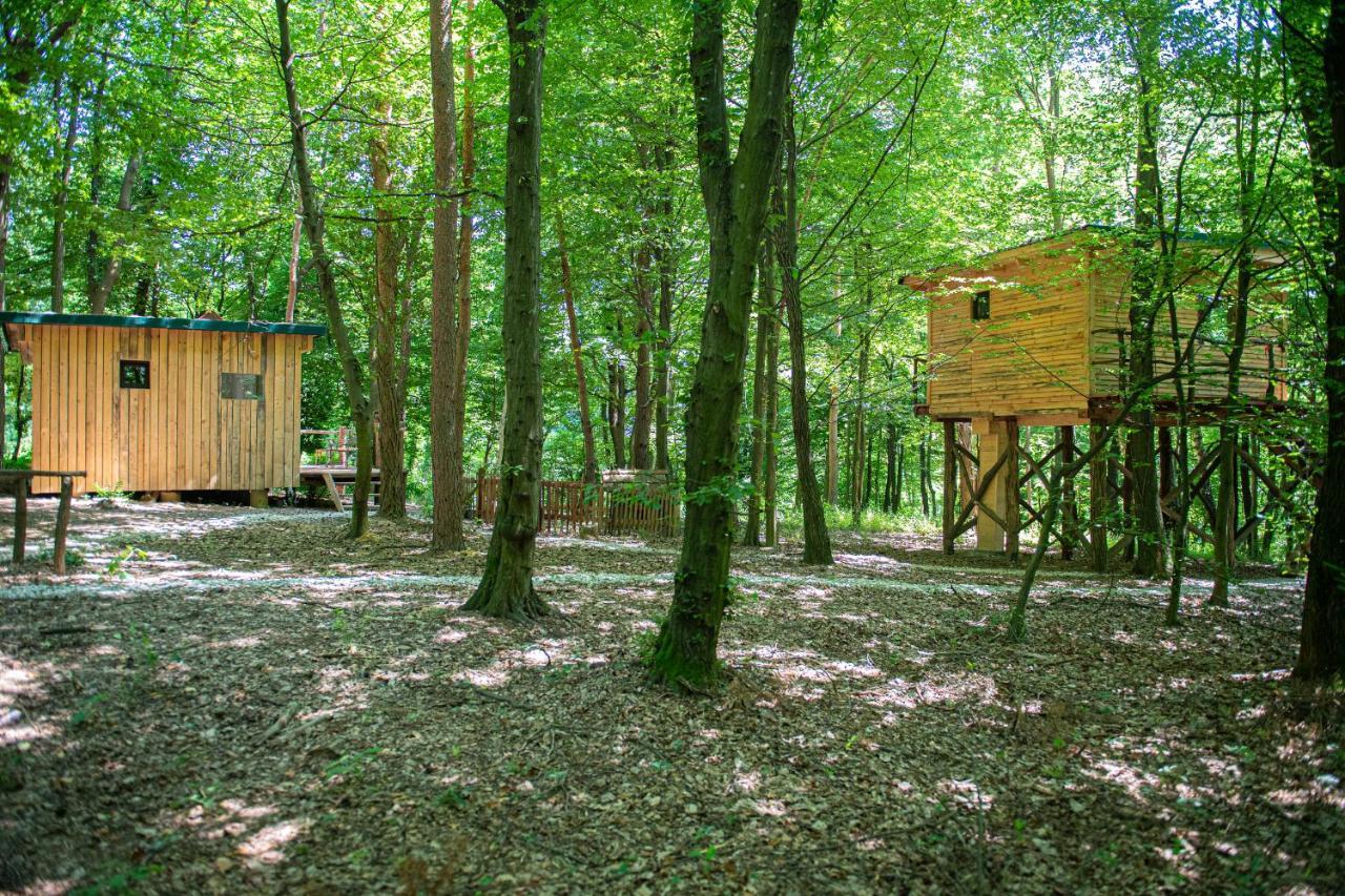 Living Forest Resort モラフスケ・トプリツェ エクステリア 写真