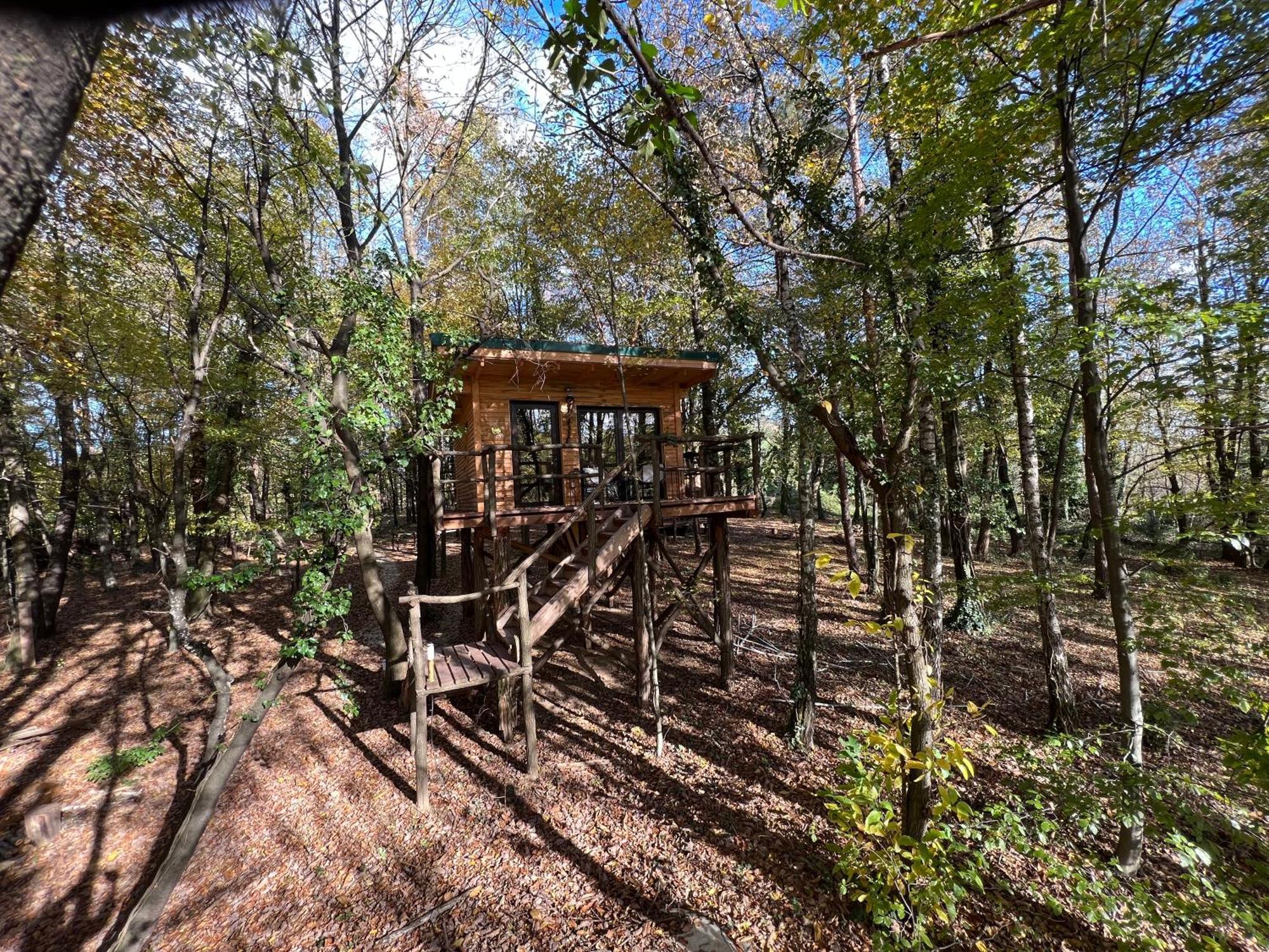 Living Forest Resort モラフスケ・トプリツェ 部屋 写真