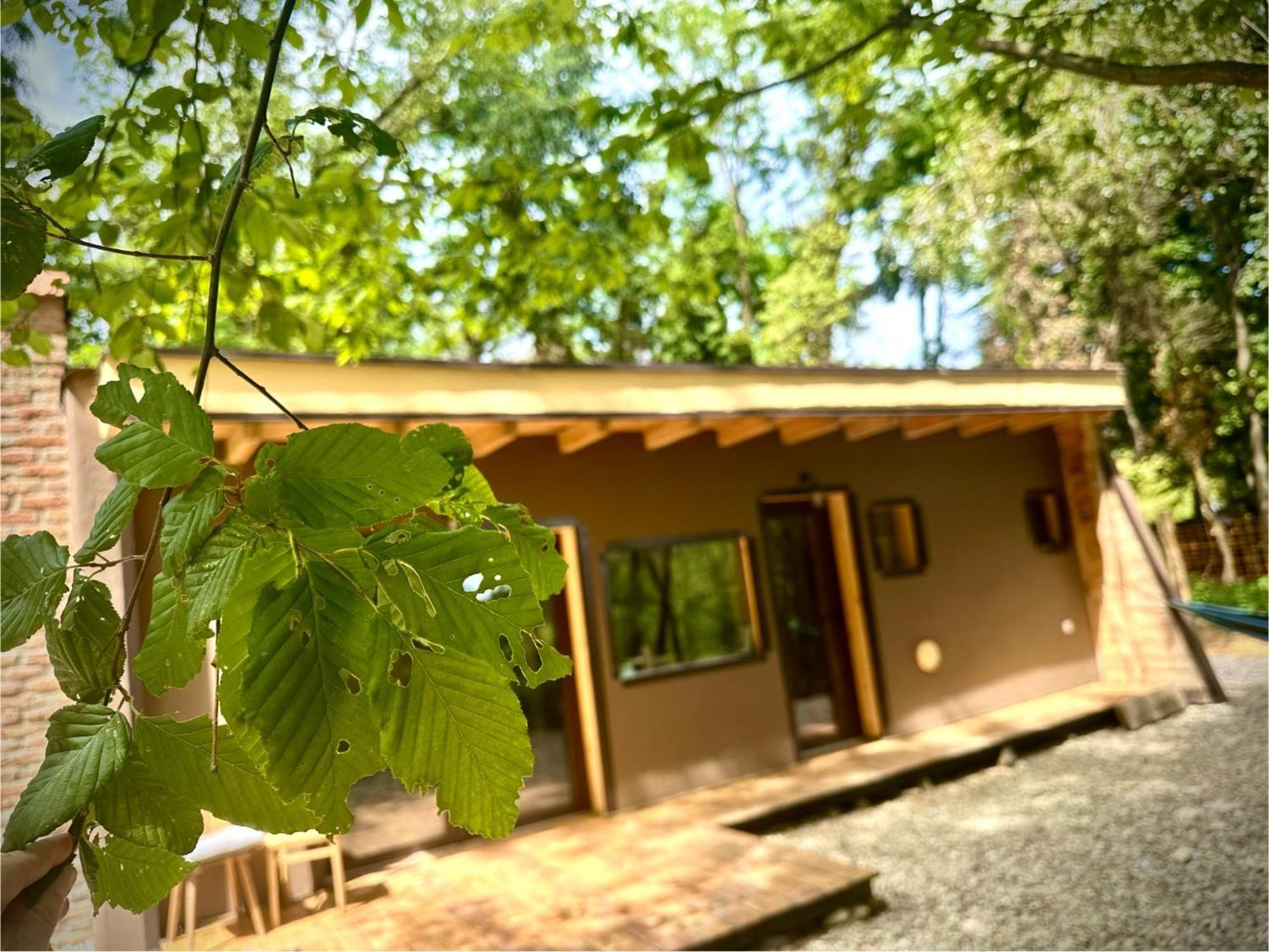 Living Forest Resort モラフスケ・トプリツェ エクステリア 写真